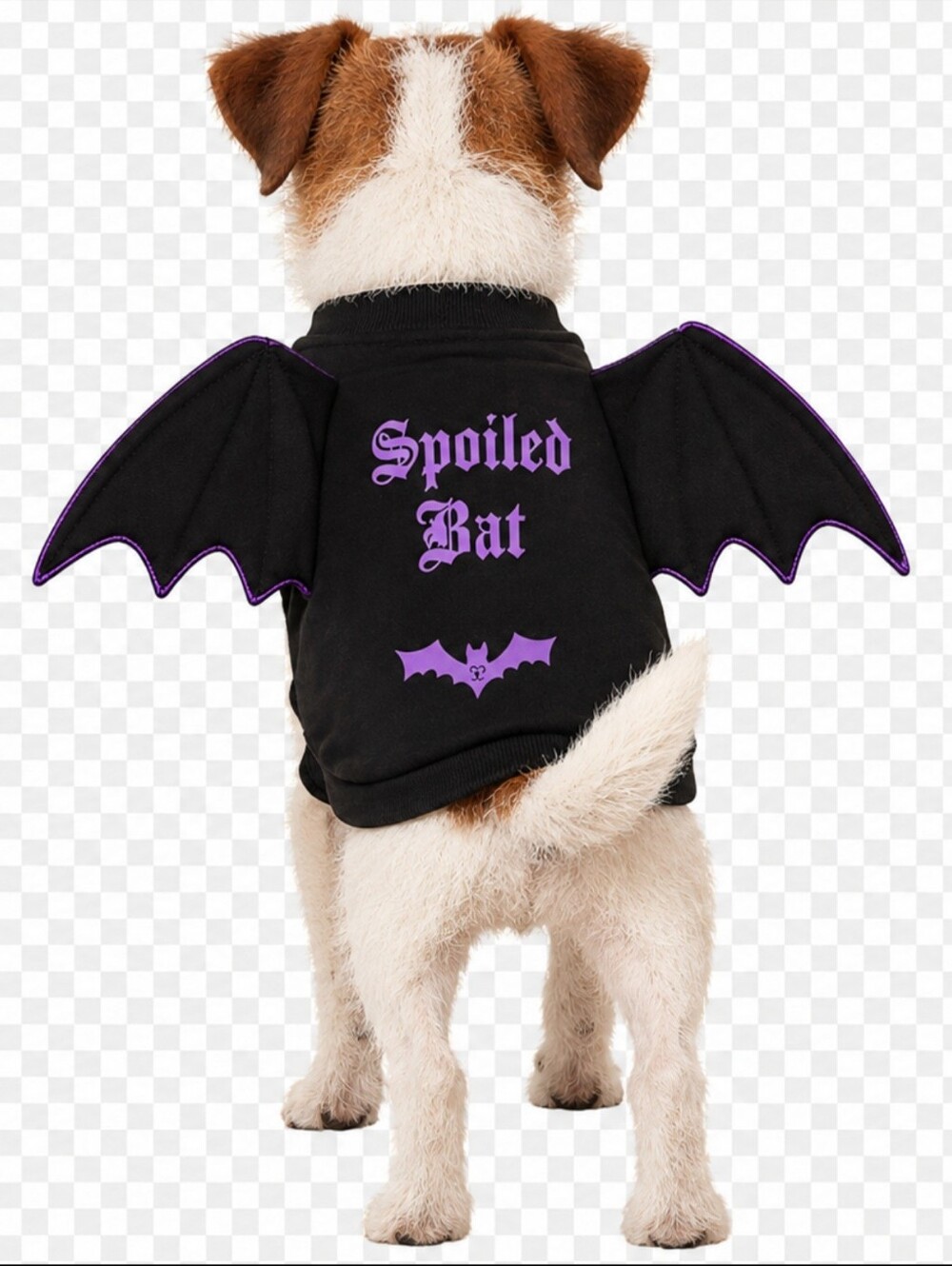 👻PINK Victoria's Secret Black & Purple 'Spoiled Bat' Dog Costume Jacket🦇 - Picture 2 of 9